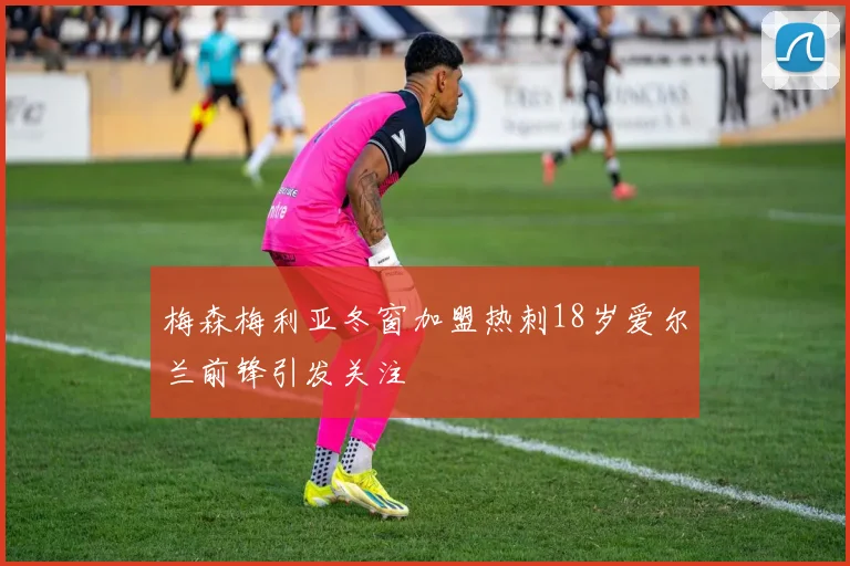 梅森梅利亚冬窗加盟热刺18岁爱尔兰前锋引发关注