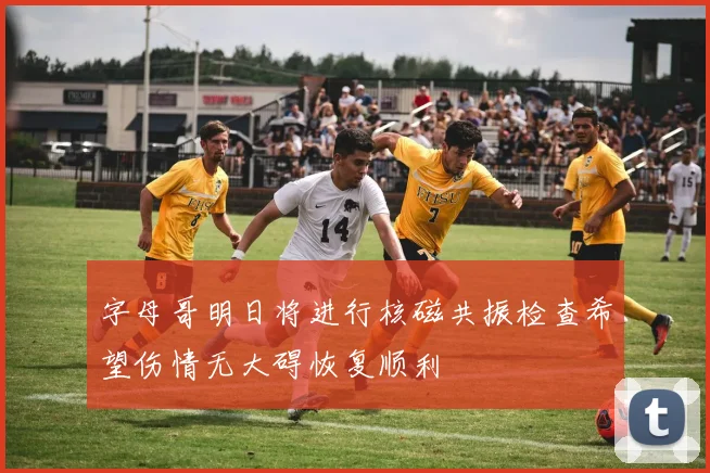 字母哥明日将进行核磁共振检查希望伤情无大碍恢复顺利
